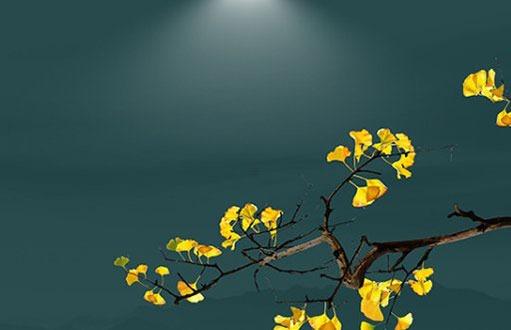 屬龍和屬羊的人可以在一起嗎,屬龍和屬羊的能在一起嗎 屬龍和屬羊的人可以在一起嗎,屬龍和屬羊的能在一起嗎