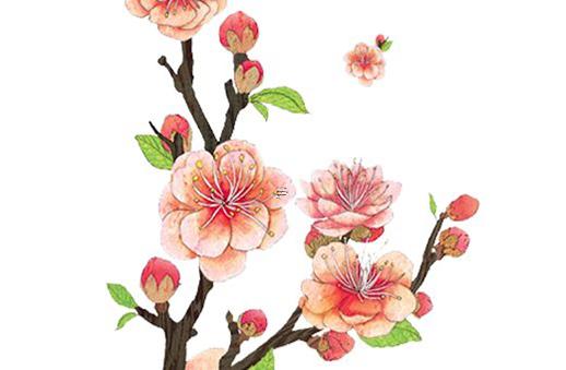 八字兩個七殺兩個正印什么意思 兩個七殺一個正印女生 八字兩個七殺兩個正印什么意思 兩個七殺一個正印女生