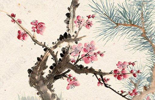 屬蛇女今年養什么花 屬蛇女養什么植物最好