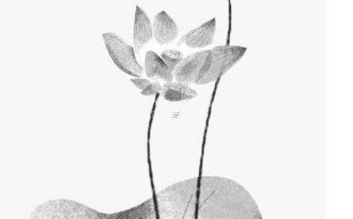 屬猴男和屬虎女婚配不,屬猴男和屬虎女合嗎 屬猴男和屬虎女婚配不,屬猴男和屬虎女合嗎