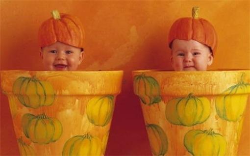 用嘉字起名的女孩名字大全 用嘉字取名字女孩名字