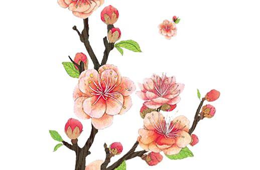 生辰八字富貴測試 生辰八字測財運富貴船 生辰八字富貴測試 生辰八字測財運富貴船