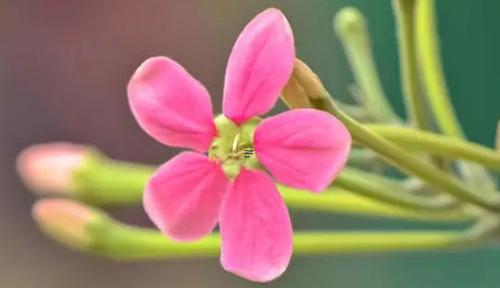 飯碗上筷子掉井里的周公解夢結果 把筷子插在飯碗上怎么破解 飯碗上筷子掉井里的周公解夢結果 把筷子插在飯碗上怎么破解