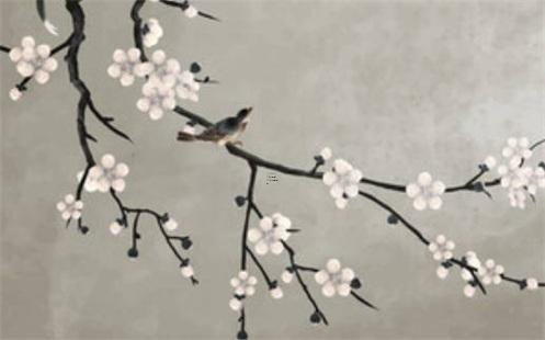 1973年屬牛的命運 1973年屬牛命運和婚姻 1973年屬牛的命運 1973年屬牛命運和婚姻