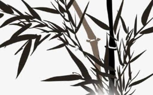 屬豬跟屬龍婚姻配嗎，屬豬跟屬龍的配嗎