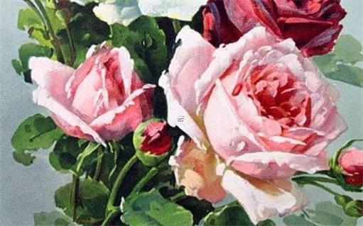 屬豬五月出生富貴八字 生肖豬5月出生好不 屬豬五月出生富貴八字 生肖豬5月出生好不