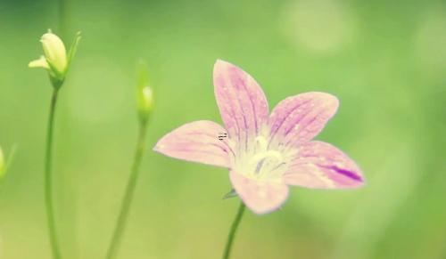 夢見自己洗包包洗得好干凈 夢見洗包袱 夢見自己洗包包洗得好干凈 夢見洗包袱