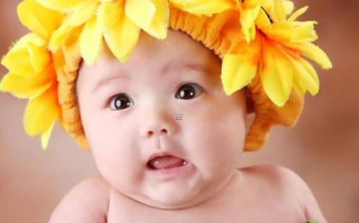 歷史上姓葉的名人有哪些 姓葉的歷史名人有哪些? 歷史上姓葉的名人有哪些 姓葉的歷史名人有哪些?