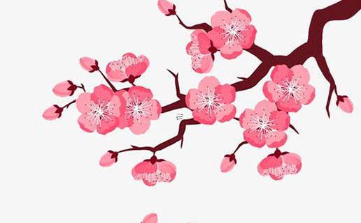 少林職業(yè)游戲人物名字 少林職業(yè)游戲人物名字 少林職業(yè)游戲人物名字 少林職業(yè)游戲人物名字