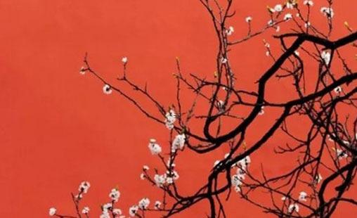 2022年6月20日農歷五月二十二出生的寶寶吉利名字推薦