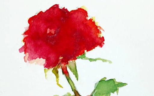 兔2022是本命年嗎 兔2022是本命年嗎