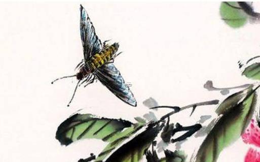 71年屬豬人今日運勢是什么命 71年豬的今日財運