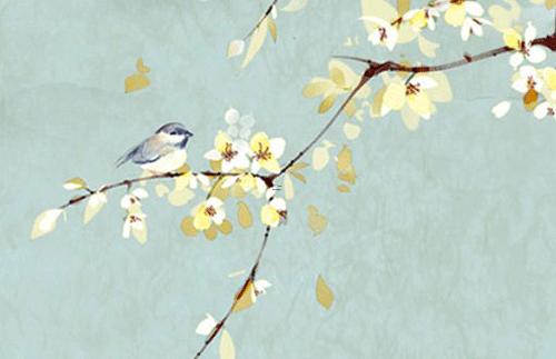 屬猴的資料,屬猴生肖詳情 屬猴的資料,屬猴生肖詳情