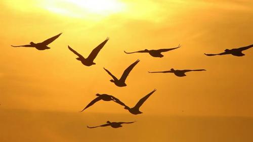 周公解夢夢到情人打開家門 夢見情人來我家和我睡在一起門開著 周公解夢夢到情人打開家門 夢見情人來我家和我睡在一起門開著