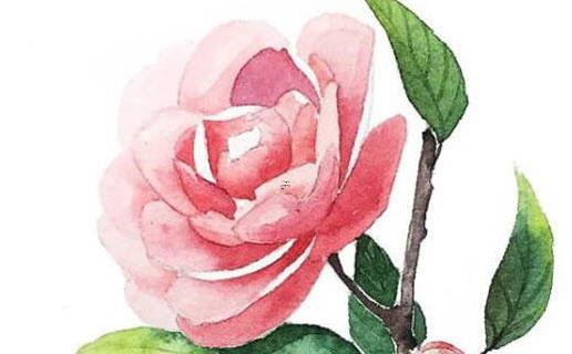 產品起名五要素 產品起名五要素包括 產品起名五要素 產品起名五要素包括