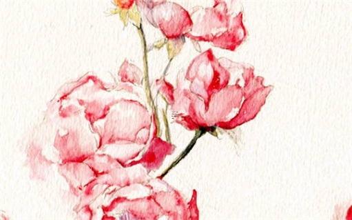 屬虎和屬兔合伙做生意 屬虎的和屬兔的合作生意合財嗎 屬虎和屬兔合伙做生意 屬虎的和屬兔的合作生意合財嗎