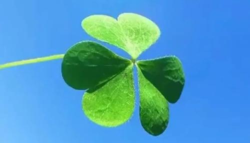 周公解夢夢到污水從地下冒出來 夢到排污水到地下 周公解夢夢到污水從地下冒出來 夢到排污水到地下