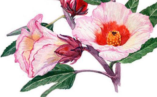 qq空間相冊名稱大全 qq空間相冊名稱大全我們的愛 qq空間相冊名稱大全 qq空間相冊名稱大全我們的愛