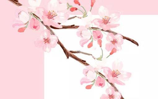 從八字中怎么判斷做什么工作 八字怎么看做什么工作 從八字中怎么判斷做什么工作 八字怎么看做什么工作