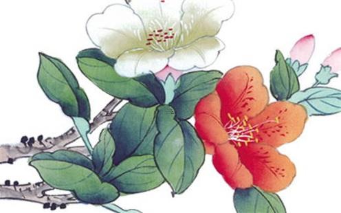 生日發(fā)188是什么意思 生日發(fā)188紅包好嗎 生日發(fā)188是什么意思 生日發(fā)188紅包好嗎