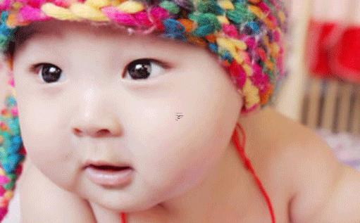 2020年豬寶寶最新的乳名如何起 豬寶寶2019乳名 2020年豬寶寶最新的乳名如何起 豬寶寶2019乳名