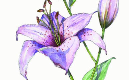 一畫的字你知道的有多少呢 一畫的字你知道的有多少呢怎么寫 一畫的字你知道的有多少呢 一畫的字你知道的有多少呢怎么寫