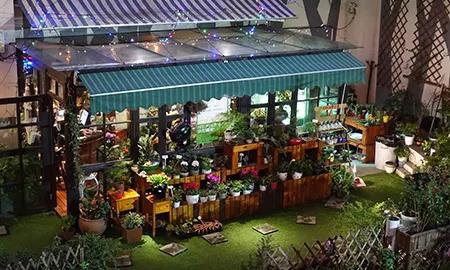 我夢見自己頭發都白了 我夢見自己頭發白了好多 我夢見自己頭發都白了 我夢見自己頭發白了好多