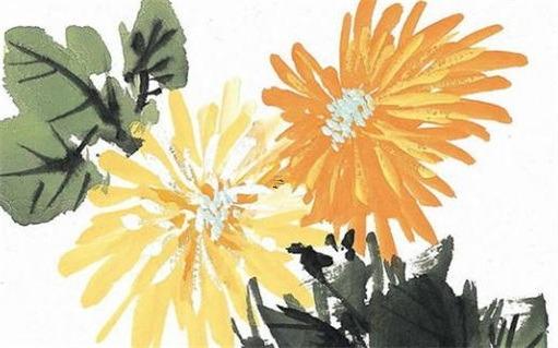 2023年屬馬的命運怎么樣 2023年屬馬的人運氣怎么樣 2023年屬馬的命運怎么樣 2023年屬馬的人運氣怎么樣