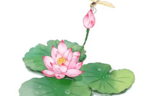 屬蛇佩戴什么吊墜,屬蛇的戴什么吊墜招財 屬蛇佩戴什么吊墜,屬蛇的戴什么吊墜招財