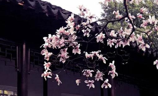 清明節農歷幾月幾號 清明節農歷幾月幾日陽歷幾月幾日 清明節農歷幾月幾號 清明節農歷幾月幾日陽歷幾月幾日