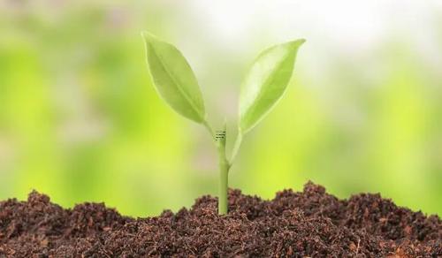 夢見算命說我命運很好啥意思 夢見算命的說我運勢好 夢見算命說我命運很好啥意思 夢見算命的說我運勢好