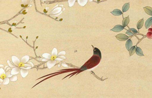 屬鼠下半年的運勢 屬鼠下半年運勢2023 屬鼠下半年的運勢 屬鼠下半年運勢2023