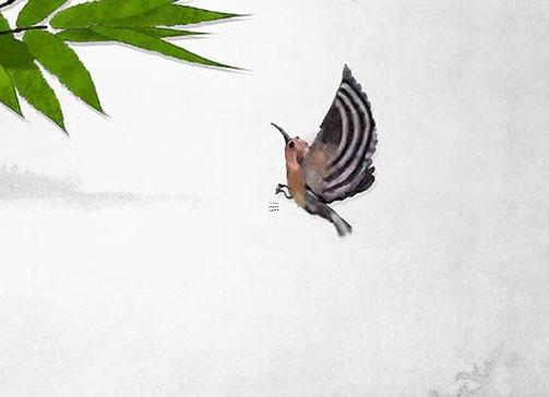 屬兔多大找對象比較好 屬兔找什么屬相的對象好 屬兔多大找對象比較好 屬兔找什么屬相的對象好