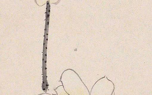 農歷三月十三日子好嗎 農歷三月十三是好日子嗎 農歷三月十三日子好嗎 農歷三月十三是好日子嗎