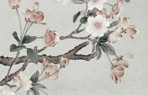 2023年屬龍的人多大,屬龍2023年多大年齡 2023年屬龍的人多大,屬龍2023年多大年齡