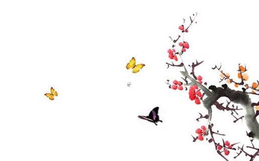 ***轉運公司哪個好 ***好的轉運公司