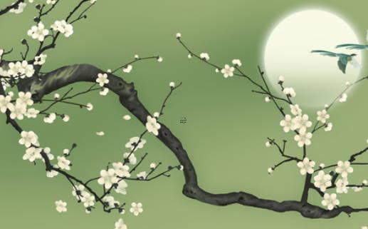 虎寶寶忌什么屬相兄妹 虎農歷幾月出生帶財