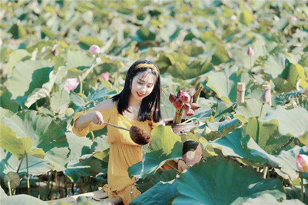 說好執(zhí)手相依晉江