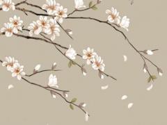 屬猴人的運勢和命運,屬猴人的運勢怎么樣