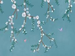 猴寶寶小名起名 猴寶小名大全女孩2016