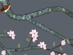 張一鳴八字分析 抖音張一鳴八字