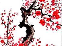 1960年屬鼠的婚姻運程如何 1960年屬鼠人一生命運男