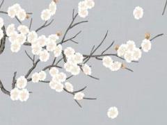 白羊座什么時候出生男孩的 白羊座什么時間出生