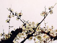 緣再來離異婚戀網(wǎng)登錄 緣來婚戀網(wǎng)怎么登錄不了