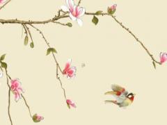 56年出生的屬猴今年怎么樣,56年的猴今年多大了2023