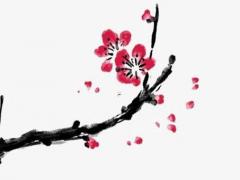 算算今年的運(yùn)氣怎么樣 算今年運(yùn)程