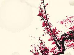 屬猴女結(jié)婚忌什么屬相,屬猴女結(jié)婚什么人不能到現(xiàn)場(chǎng)