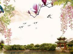 黃道吉日是代表什么生肖 黃道吉日代表什么生肖和數字