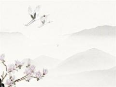 2023屬兔孩子相沖