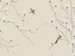 屬龍的天蝎座2023運勢運程,屬龍人天蝎座2023年運勢